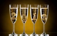 pic for 2013 champagne 